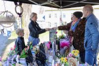 WTZ z Michalinowa sprzedają ozdoby świąteczne