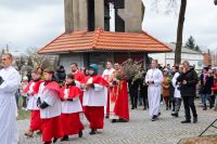 Procesja z palmami idzie do kościoła